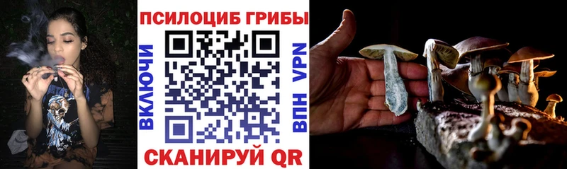 Галлюциногенные грибы Magic Shrooms  Белёв 